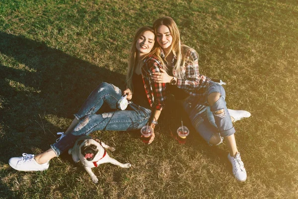 Birlikte Bir Park Ile Şirin Pug Köpek Dışarı Asılı Ikiz — Stok fotoğraf