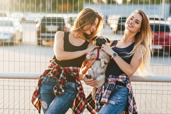 Irmãs Gêmeas Saindo Juntos Parque Com Cachorro Bonito — Fotografia de Stock
