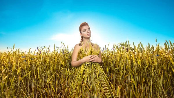 Beautiful Young Girl Field Wheat Blue Sky — Stock Photo, Image