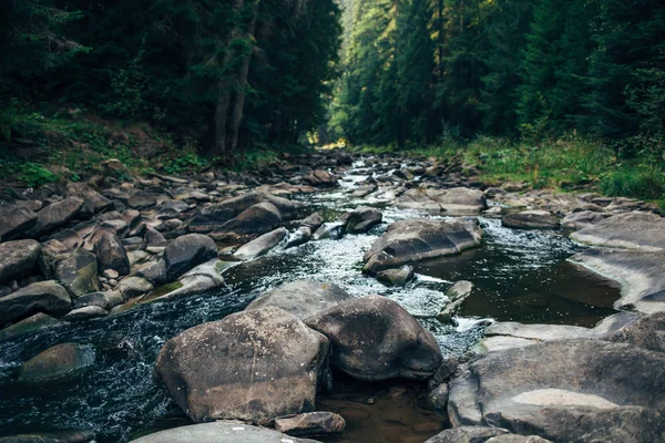 Rivier Karpaten Omgeven Door Rotsen Stenen Groene Bomen — Stockfoto