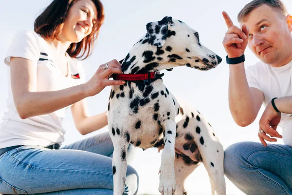 Portrait of happy young adult couple with dog on roadtrip. Man sitting on plaid with woman. Outdoor picnic concept. — Stock Photo, Image