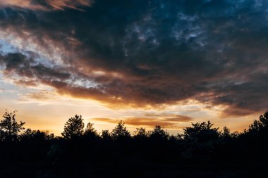 Sunset landscape over the forest