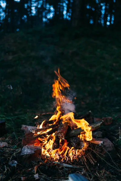 Fogueira na floresta noturna — Fotografia de Stock