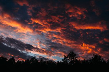 Sunset landscape over the forest