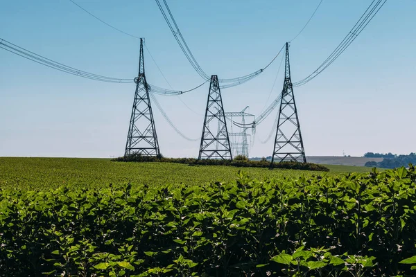 Yüksek gerilim alanında teller