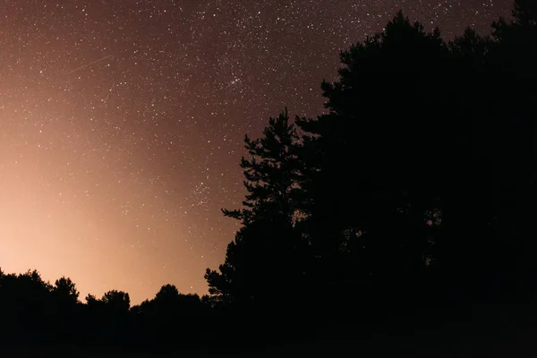 Landscape of starry night in the park — Stock Photo, Image