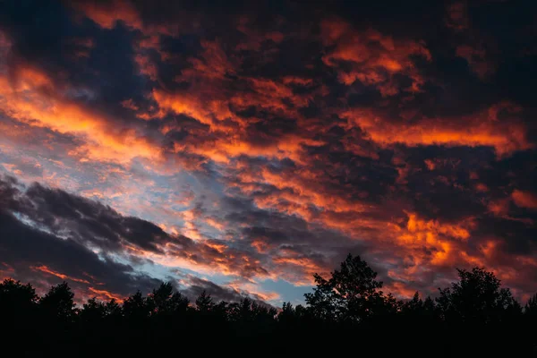 Sonnenuntergangslandschaft über dem Wald — Stockfoto