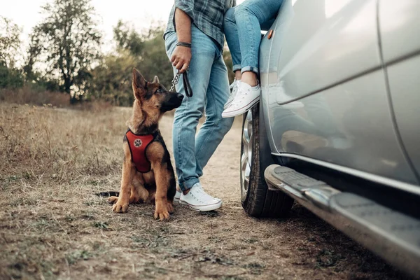 Šťastné cestování Pár Společně se těší Road Trip se svým psem, Dovolená koncepce, Dovolená mimo město — Stock fotografie