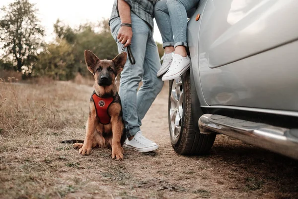 Casal viajante feliz juntos Aproveitando viagem de carro com seu cão, Conceito de férias, Férias fora da cidade — Fotografia de Stock