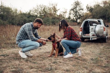 Birlikte Yolculuk Eden Mutlu Çiftler Köpek, Tatil Konsepti, Tatilleri Şehir dışında Keyifli Yolculuklar