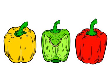 Çizim biber. Beyaz arka plan üzerinde izole.