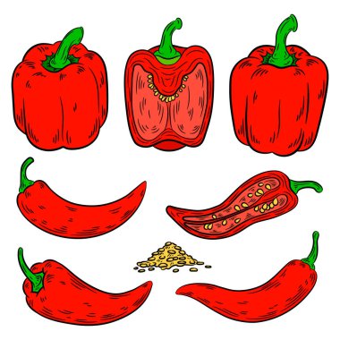 Çizim biber. Beyaz arka plan üzerinde izole.