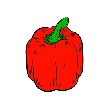 Çizim biber. Beyaz arka plan üzerinde izole.