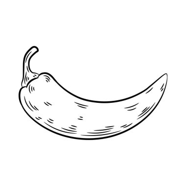 Çizim biber. Beyaz arka plan üzerinde izole.