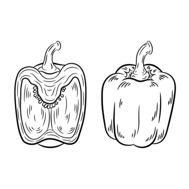 Çizim biber. Beyaz arka plan üzerinde izole.