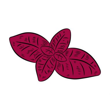 Elle çizilmiş kroki tarzı fesleğen