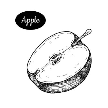Elle çizilmiş kroki tarzı taze elma.