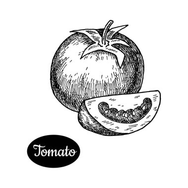 Elle çizilmiş kroki tarzı domates.