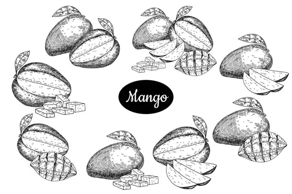 Handgezeichnete Skizze Stil frische Mango. — Stockvektor