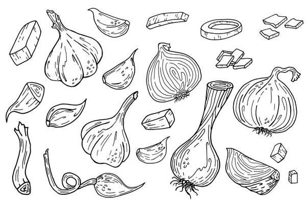 Set illustrazione disegnato a mano di cipolla e aglio — Vettoriale Stock