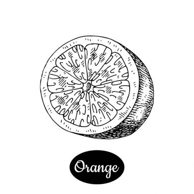 Elle çizilmiş kroki tarzı taze turuncu.