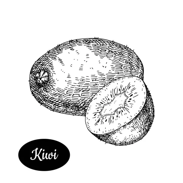 Croquis dessiné à la main style kiwi frais . — Image vectorielle