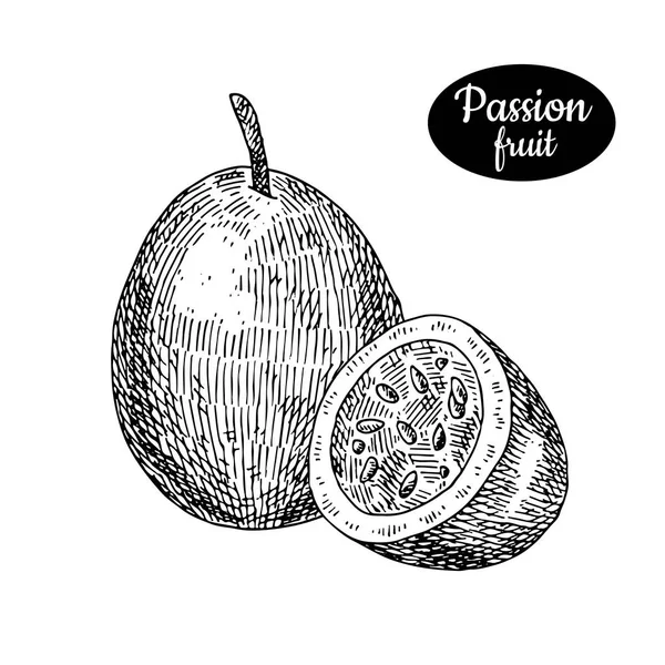 Dibujo dibujado a mano estilo fruta fresca de la pasión . — Archivo Imágenes Vectoriales