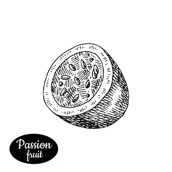 Hand drawn sketch style fresh passionfruit. — Stock Vector