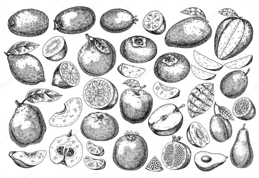 Hand drawn sketch style fresh fruit.