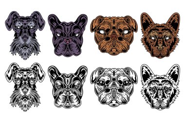Köpek suratlı minyatür schnauzer, Fransız bulldog, pug, çoban klasiği eski tarz. Beyaz arkaplanda vektör çizimi izole edildi. Tasarım ögesi.