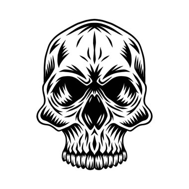 Beyaz bir arka planda izole edilmiş antika insan kafatası. Tasarım ögesi.