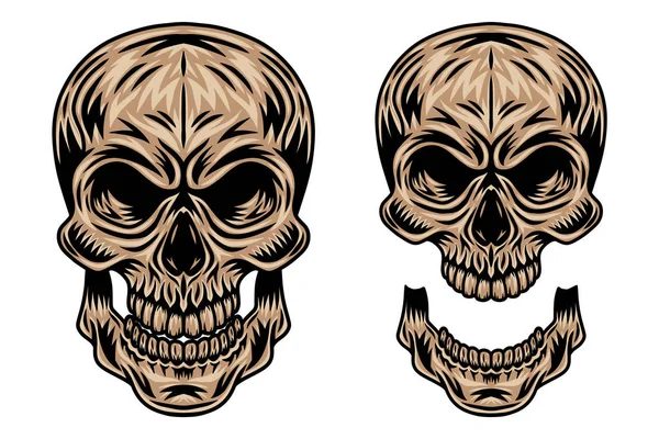 Crâne humain rétro vintage et illustration vectorielle isolée de la mâchoire sur fond blanc. Élément de conception . — Image vectorielle