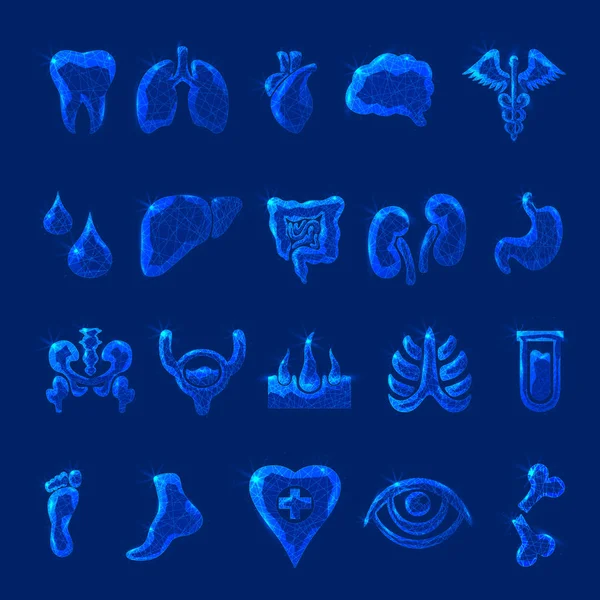 Conjunto de iconos de órganos humanos médicos líneas geométricas, vector de marco de alambre de bajo estilo poli. Concepto de tecnología de la medicina aislada . — Vector de stock