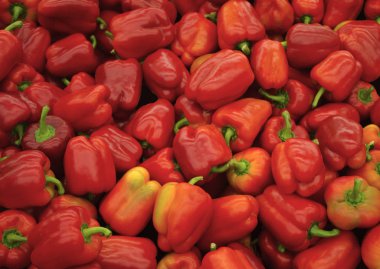 Biber, tarım, arka plan, parlak, renk, renkli, d