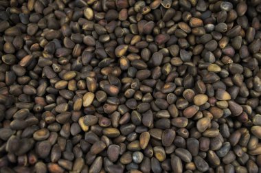 Tahıl, tarım, zemin, arka plan, fasulye, siyah, Kahvaltı