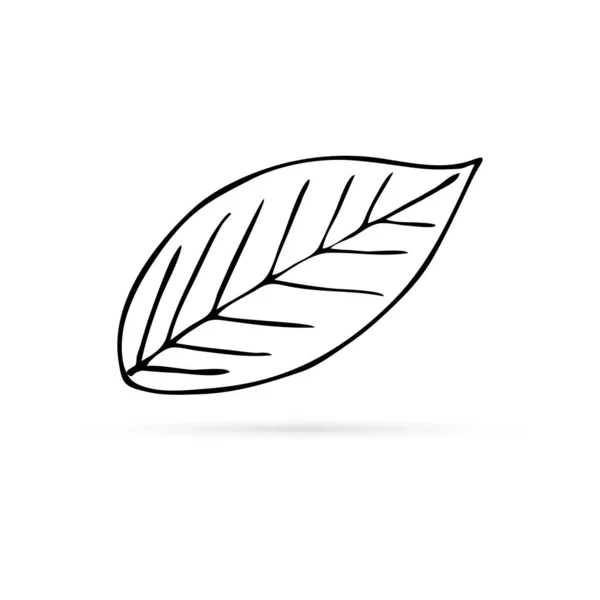 Doodle Line Art Leaf Icon Logo Kids Hand Drawing Spring — Stockvektor