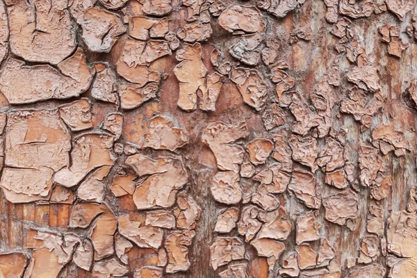 Sfondo Gesso Struttura Della Parete Con Crepe Vecchio Muro — Foto Stock