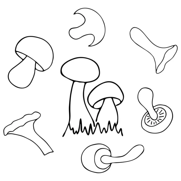 涂鸦蘑菇套件 蔬菜健康食品收集 儿童手绘艺术线 病媒图解 — 图库矢量图片