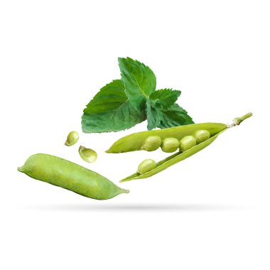 Çokgen tarzda yeşil bezelye ve nane. Düşük poli taze gıda. Etiket tasarımı için öğeler. Nirengi tekniğinde malzemeler. Vektör çizimi.