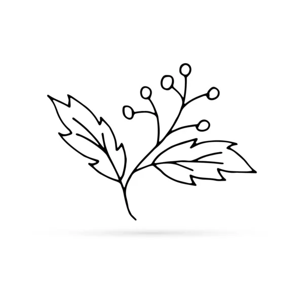 Lijn Doodle Bloem Met Blad Bloem Pictogram Vector Illustratie — Stockvector