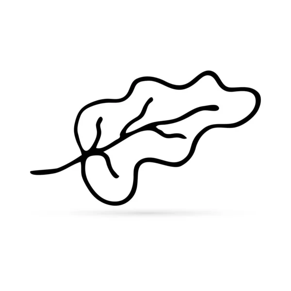 Doodle Φύλλα Βελανιδιάς Εικονίδιο Για Σχεδιασμό Παιδιά Χέρι Σχέδιο Γραμμή — Διανυσματικό Αρχείο