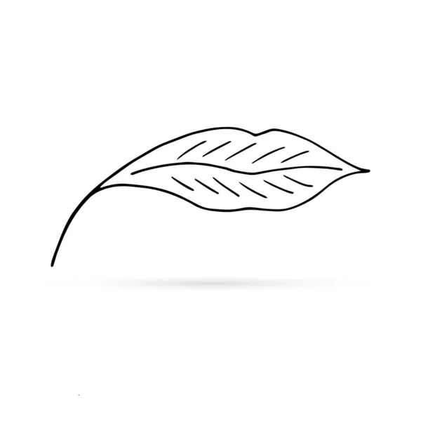Line Art Leaf Icon Logo Spring Summer Kids Doodle Outline - Stok Vektor