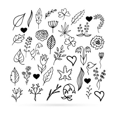 colorong of leaves and flower, doodle icon isolated, outline kids hand drawing art line, sketch vector illustration