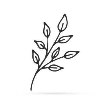 Taslak yaprak simgesi beyaza izole edilmiş, ekolojik logo yapıştır. Dodle 'ların el çizimi çizimleri. Bahar, yaz ya da sonbahar sembolü. Sketch vektör stok çizimi