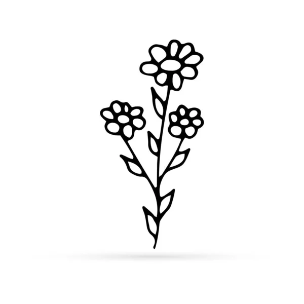 Doodle Camomole Flower Icon Isolated White Outline Kids Hand Drawing — 스톡 벡터