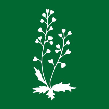 Karalama çiçeği ikonu, eko logosu, çocukların el çizimi çizimi çizimi, ekolojik tasarım için çoban çantası, çizim çiçeği, vektör stoku çizimi.