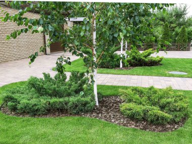 Yeşil çimenlerin içinde taş yol. Peyzaj parkından geç. Yol boyunca ağaç.