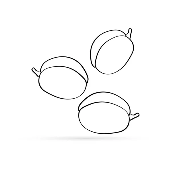 Περίγραμμα Εικονίδιο Βερίκοκο Ροδάκινο Απομονώνονται Λευκό Σκίτσο Γραμμή Τέχνης Φρούτων — Διανυσματικό Αρχείο