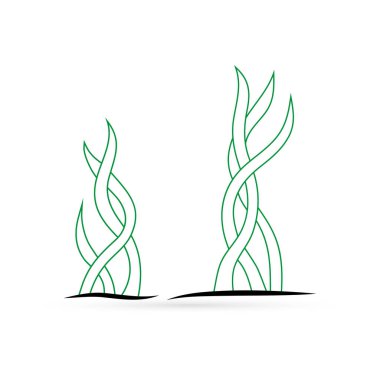 Ana hatları sualtı çimleri, yosun ikonu beyaza izole edilmiş. Çizim yapan çocukların el çizimi çizimleri. Vektör stok illüstrasyonu