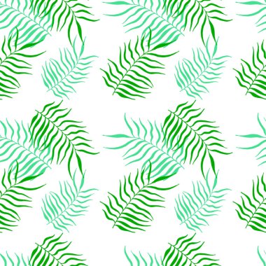 Palmiye yapraklarının çizgileri beyaza izole edilmiş. Ana hatlarıyla çocukların el çizimleri. Bahar, yaz ya da sonbahar sembolü. Karalama çizimi. Vektör stok illüstrasyonu